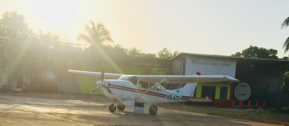 96F42883-227B-4F6A-89A6-9BDD664FD075