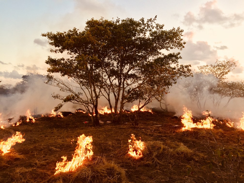 C5578E26-1EAD-47CD-89AC-707AEC0F51A7